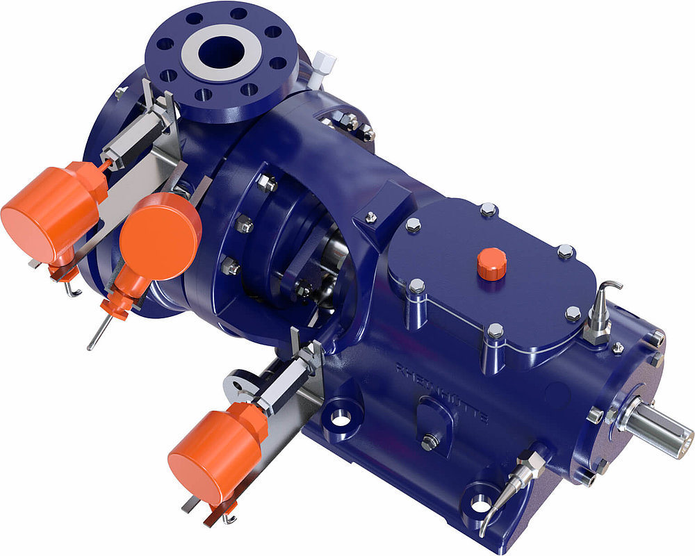 Rheinhutte_Pumpen_RCE_DWH_Sonderausfuhrung_2.jpg